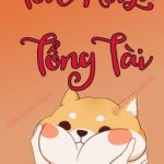 Tôi Mới Là Tổng Tài