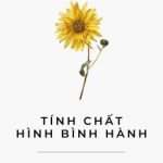 [End][Đam Mỹ – Np] Tính Chất Hình Bình Hành