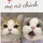 [Bhtt – Edit Hoàn] He Với Mẹ Của Nữ Chính – Hề Mộc Tiêu Tiêu