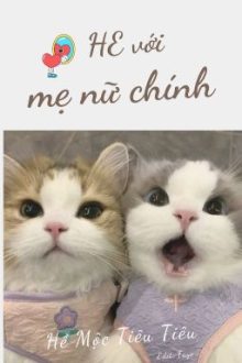 [Bhtt – Edit Hoàn] He Với Mẹ Của Nữ Chính – Hề Mộc Tiêu Tiêu