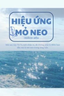 [Edit/Hoàn] Hiệu Ứng Mỏ Neo – Không Cúc