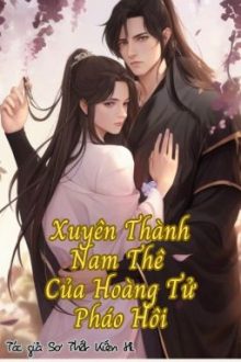 Xuyên Thành Nam Thê Của Hoàng Tử Pháo Hôi