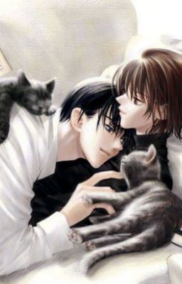 Hẹn Hò Với Chồng Cũ