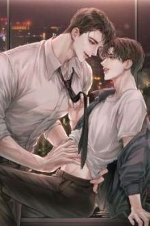[Đm/Cao H/Edit] Xuyên Thành Vợ Nam Pháo Hôi Của Nhân Vật Chính Công