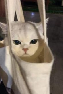 Tiệm Giặt Là Của Trần Hi