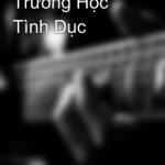 Trường Học Tình Dục