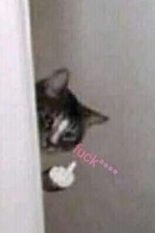 [Thô Tục] Ngày Ngày Đút No