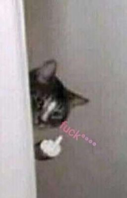[Thô Tục] Ngày Ngày Đút No