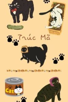 8Cs Bl | Trúc Mã
