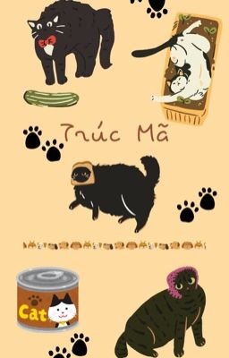 8Cs Bl | Trúc Mã