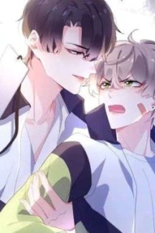 (12 Chòm Sao/Bl – Abo) Giỏi Thì Húp Thử Bố Mày Xem?