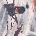 [ Đồng Nhân Kny ]: Trụ Cột Đầu Tiên