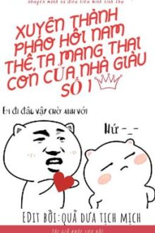 [Edit]-Xuyên Qua Thành Pháo Hôi Nam Thê,Ta Mang Thai Con Của Nhà Giàu Số 1