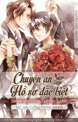 Chuyên Án – Hồ Sơ Đặc Biệt Poster
