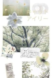 12Cs/Bl • Love Is Blind