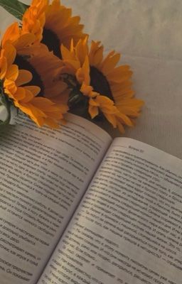 [ 12Cs | Bl ] Sunflower