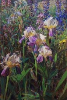 [Cv 0504] •Freesia Iris•
