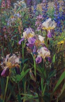 [Cv 0504] •Freesia Iris•