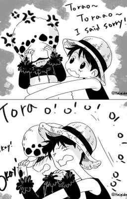 One Piece Nhưng Là Thế Giới Abo [Bản Hiện Đại]