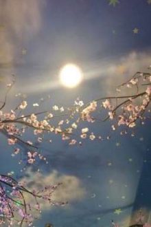 [ Madatobi | Abo ] Hận