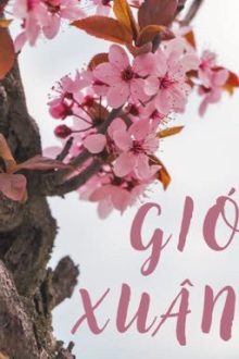 [Axb] Gió Xuân