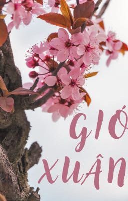 [Axb] Gió Xuân