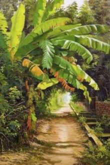 Chước Chước Phù Sinh | Geminifourth