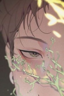 [Đm – Hoàn] Minh Nhật Tinh Trình
