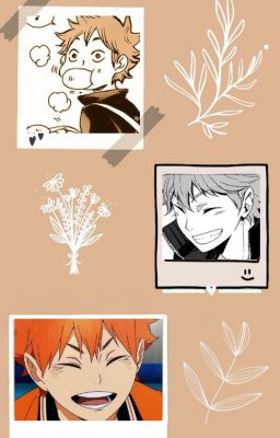 (Allhinata) (Abo) Hoa Lệ Rơi