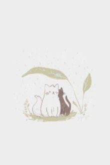 ¹²Cs Bl – Mưa ☔