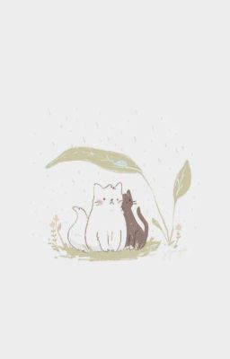 ¹²Cs Bl – Mưa ☔