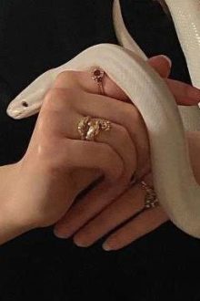 𝐯𝐢𝐩𝐞𝐮𝐬 𐙚 Snake And Rope