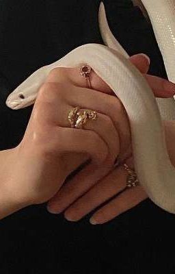 𝐯𝐢𝐩𝐞𝐮𝐬 𐙚 Snake And Rope