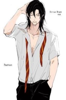 (Marauders Era) The Crescent And The Black Wolf