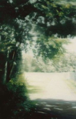 On2eus || Sau Ly Hôn