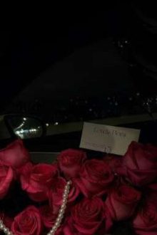 [Hieukieuduong]Rose