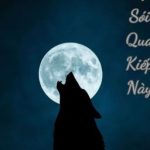 Ai Độ Sói Qua Kiếp Này