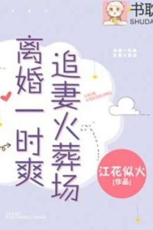 Ly Hôn Nhất Thời, Truy Thế Hoả Tá Tràng