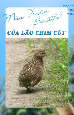 [Hoàn][Edit/Đm]Mùa Xuân Tươi Đẹp Của Lão Chim Cút