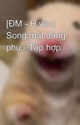 [Đm – H Văn] Song Mặt Đãng Phu – Tập Hợp