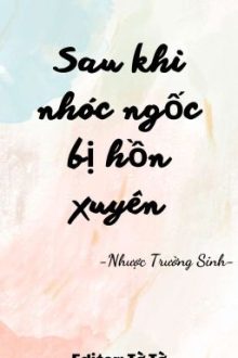 Sau Khi Nhóc Ngốc Bị Hồn Xuyên