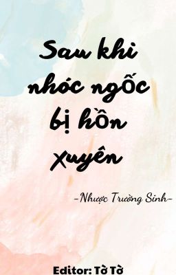 Sau Khi Nhóc Ngốc Bị Hồn Xuyên