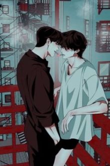 Sau Khi Phân Hóa Thành O Bị Nhóm A Cưỡng Chế Ái- Fundexb
