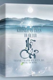 [ Bhtt ] – Edit: Không Cẩn Thận Đuổi Tới Nữ Chủ