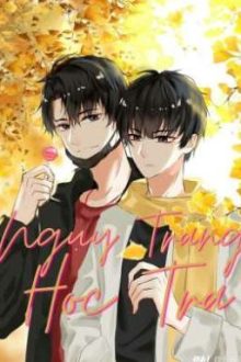 [🅡🅔🅤🅟] [Hoàn] Ngụy Trang Học Tra