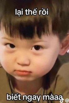 Tâm Sự Nứng 🤧