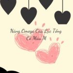 [ Bh ] [ Abo ] Nàng Omega Của Lục Tổng Có Máu M