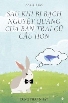 (Đm) Sau Khi Bị Bạch Nguyệt Quang Của Bạn Trai Cũ Cầu Hôn