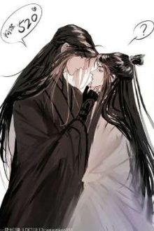 Qt – 【 Tiện Trừng 】 Ly Tư