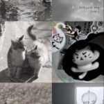 [12Cs-Bl&Gl] Buphelow